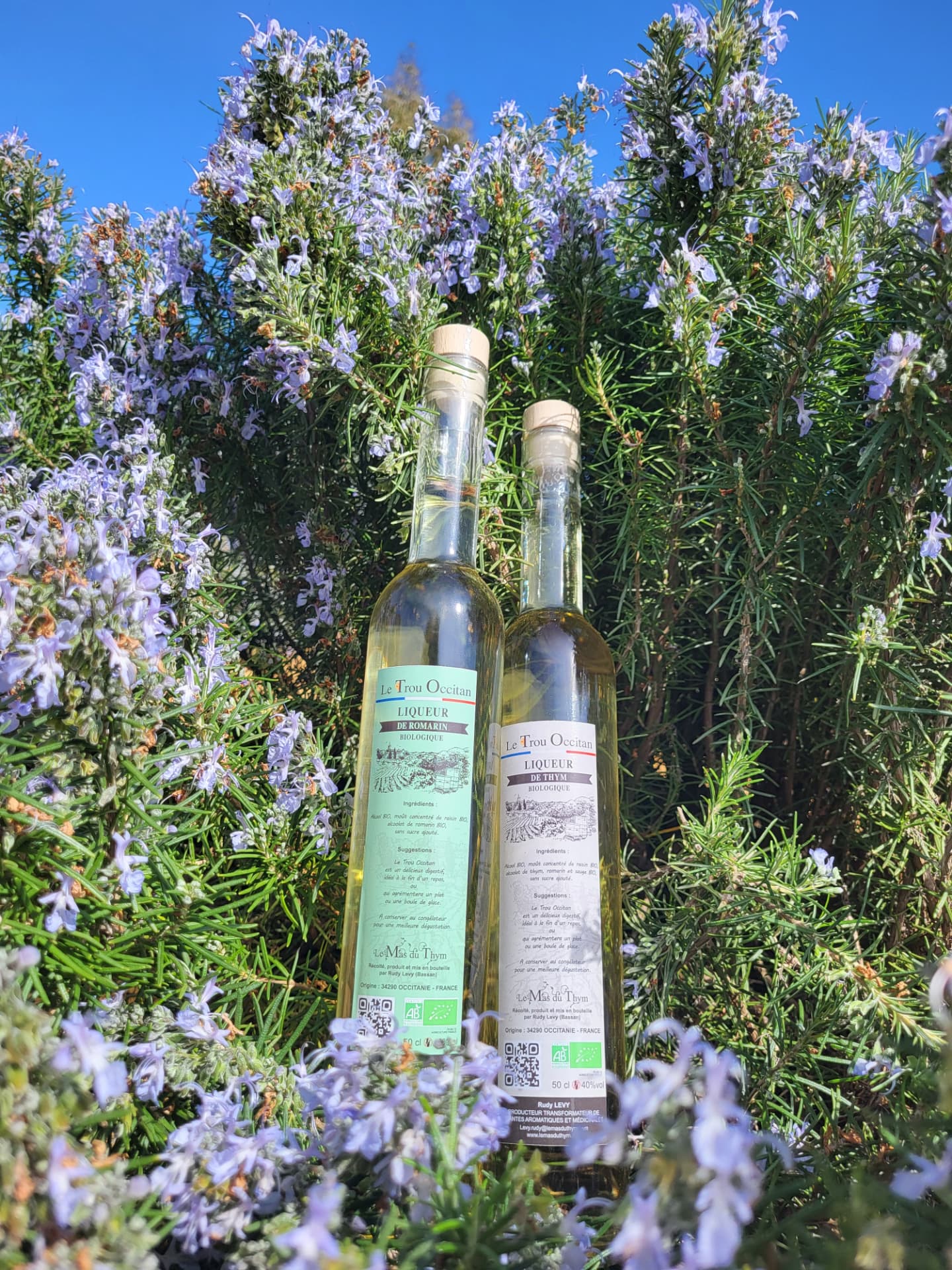 Le Trou Occitan — Liqueur de Thym